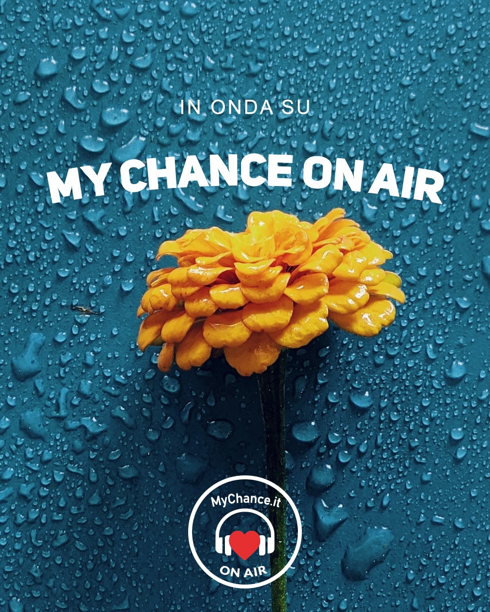 my chance