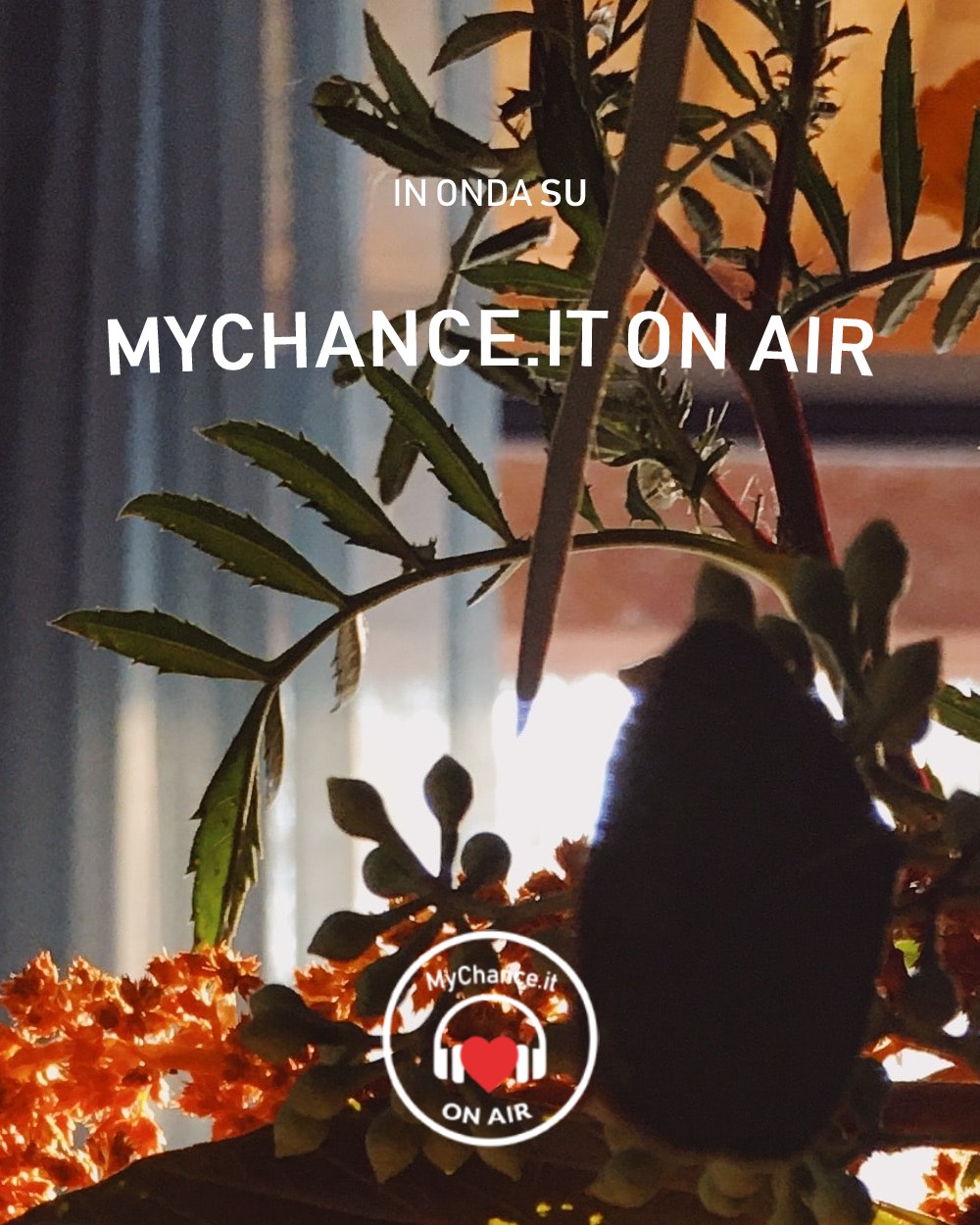 my chance