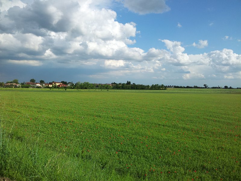 Colline di Piacenza