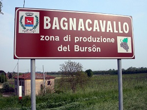 Il Burson, grande vino della bassa Romagna